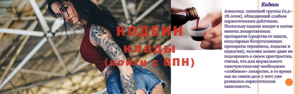 прущие грибы Аркадак