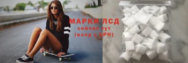 прущие грибы Аркадак