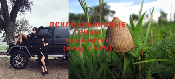 прущие грибы Аркадак