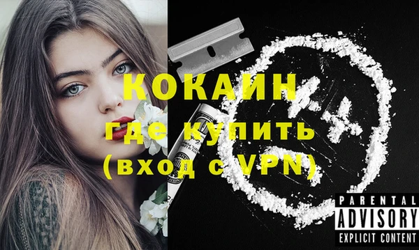 прущие грибы Аркадак