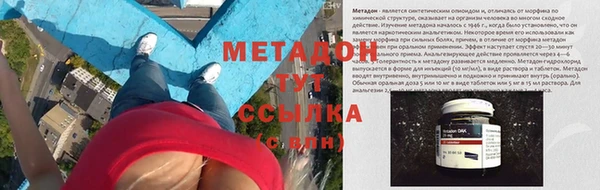 прущие грибы Аркадак